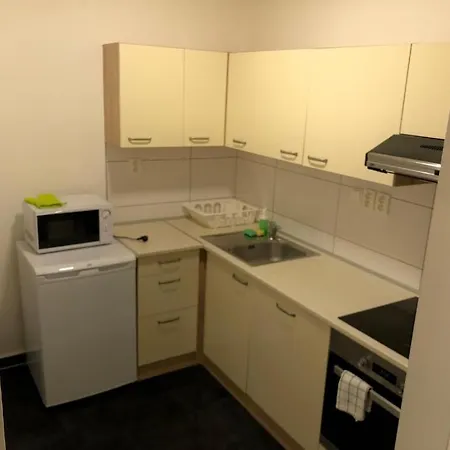 Apartmán For Big Groups Or Families